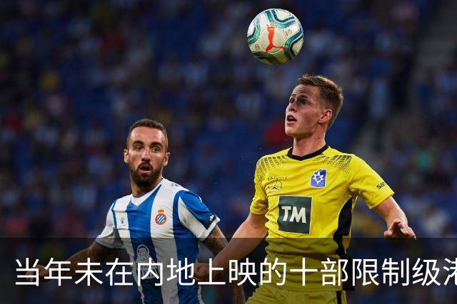 当年未在内地上映的十部限制级港片，你有幸看过哪几部？